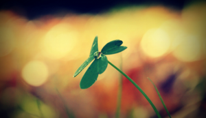 热火队逆转比分,击败对手——一场激情与智慧并存的胜利