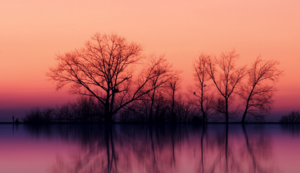 阿贾克斯主场击败马德里竞技,小组出线望过去