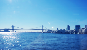 热火队逆转比分，击败对手——一场激情与智慧并存的胜利