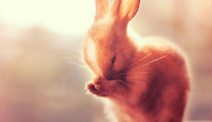 热火队逆转比分,击败对手——一场激情与智慧并存的胜利