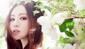 热火队逆转比分,击败对手——一场激情与智慧并存的胜利