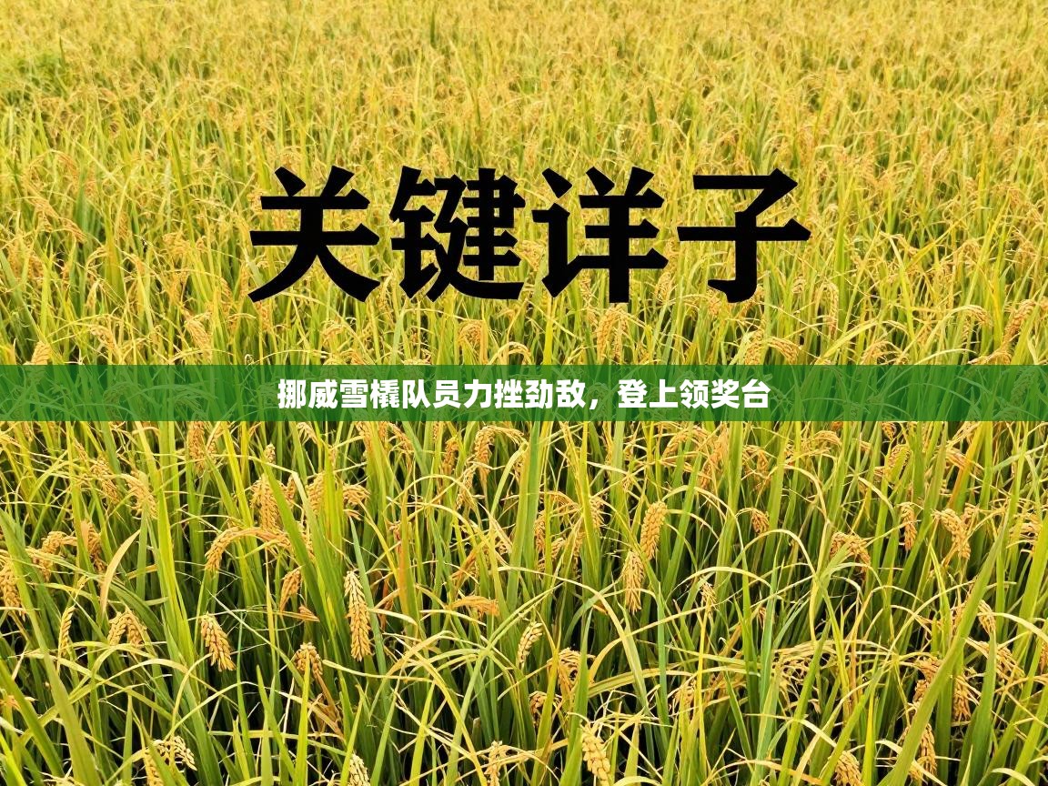 挪威雪橇队员力挫劲敌，登上领奖台