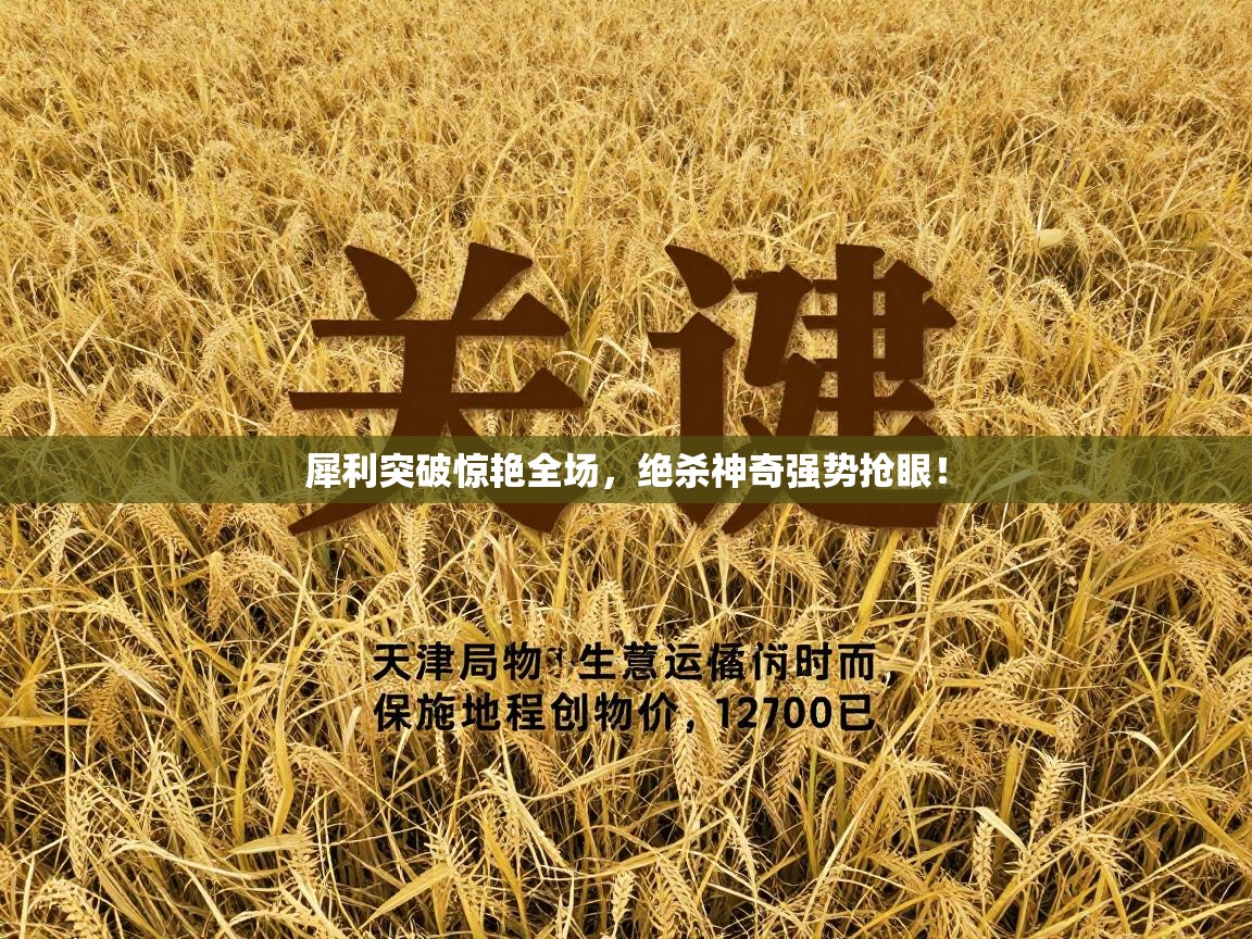 犀利突破惊艳全场，绝杀神奇强势抢眼！  第1张