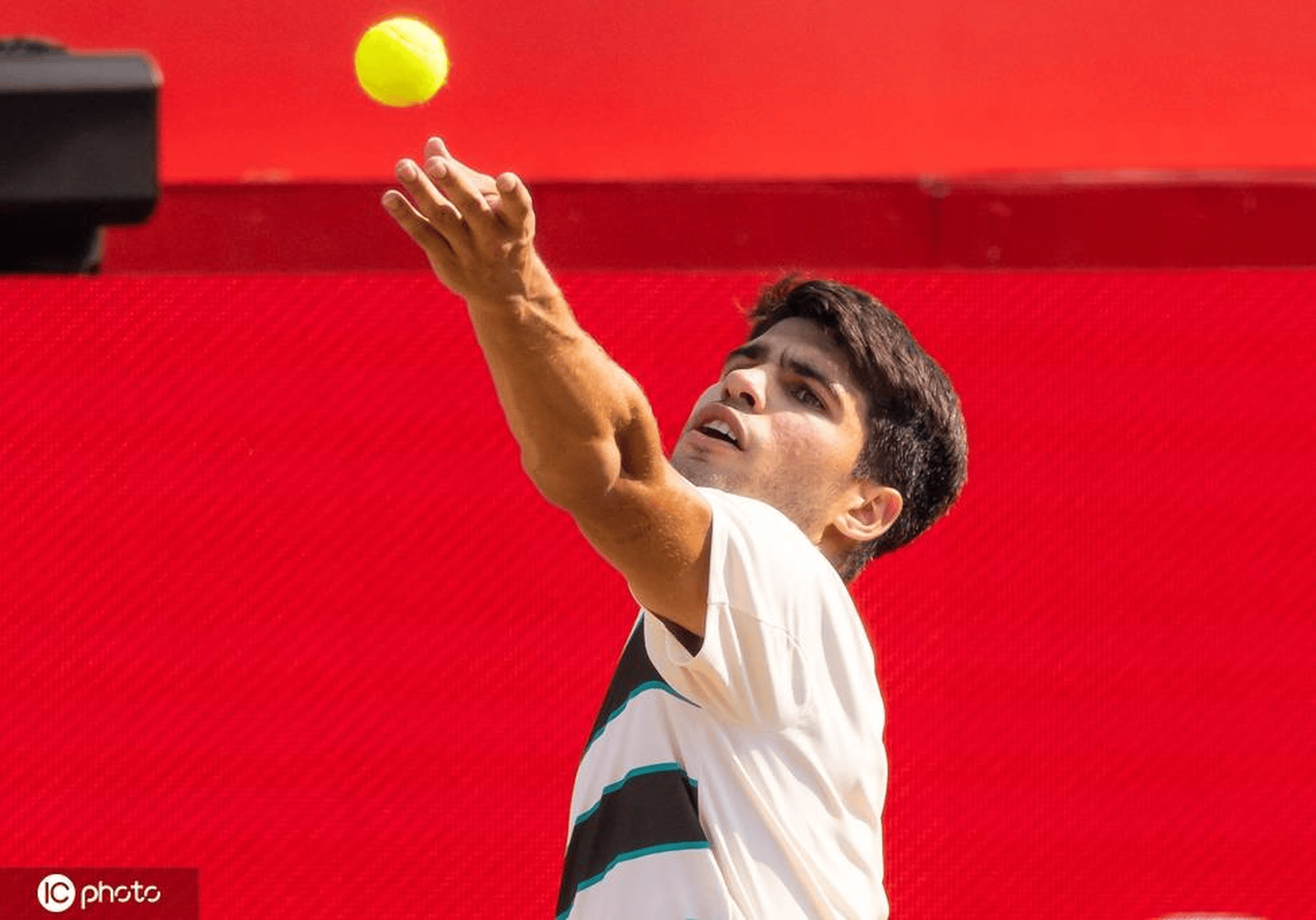 包含阿尔及利亚田径选手突围晋级，表现出色的词条